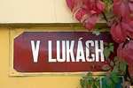 vlukach