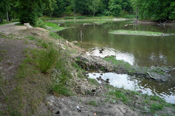 rybnik1