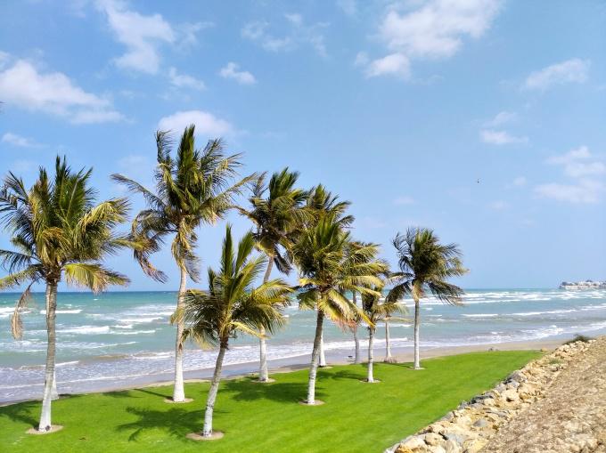 oman8
